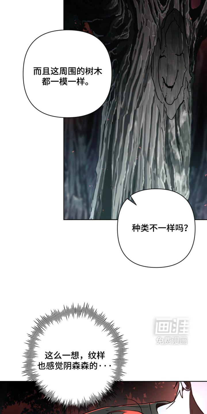 第41话31