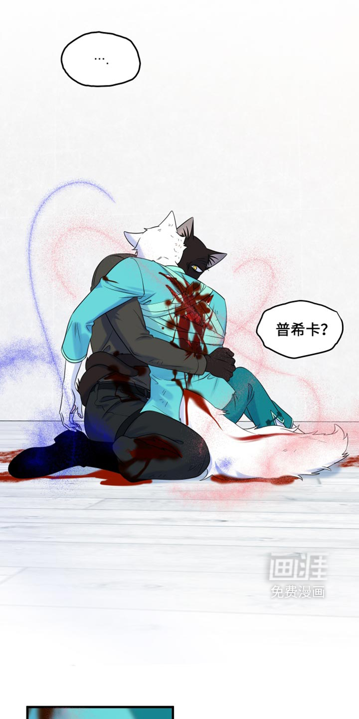 第215话11