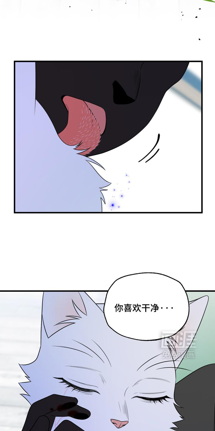 第215话24