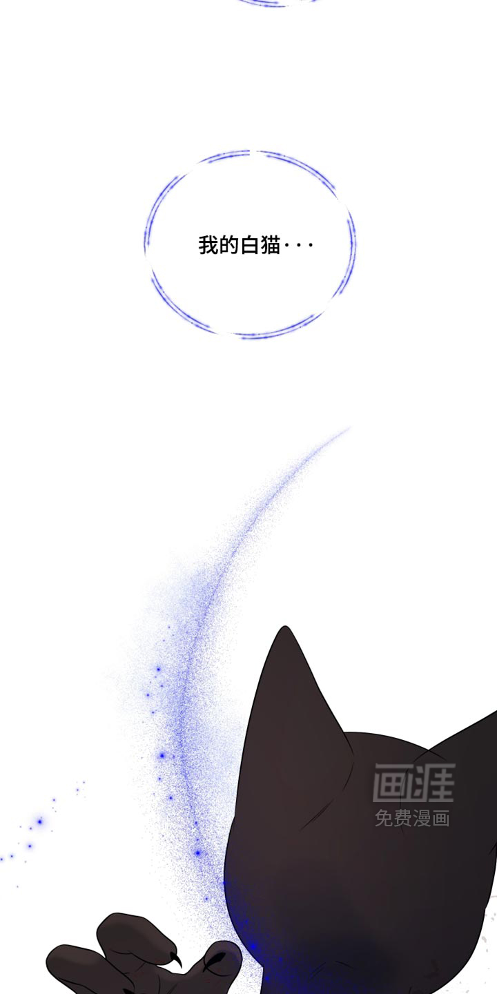 第215话26