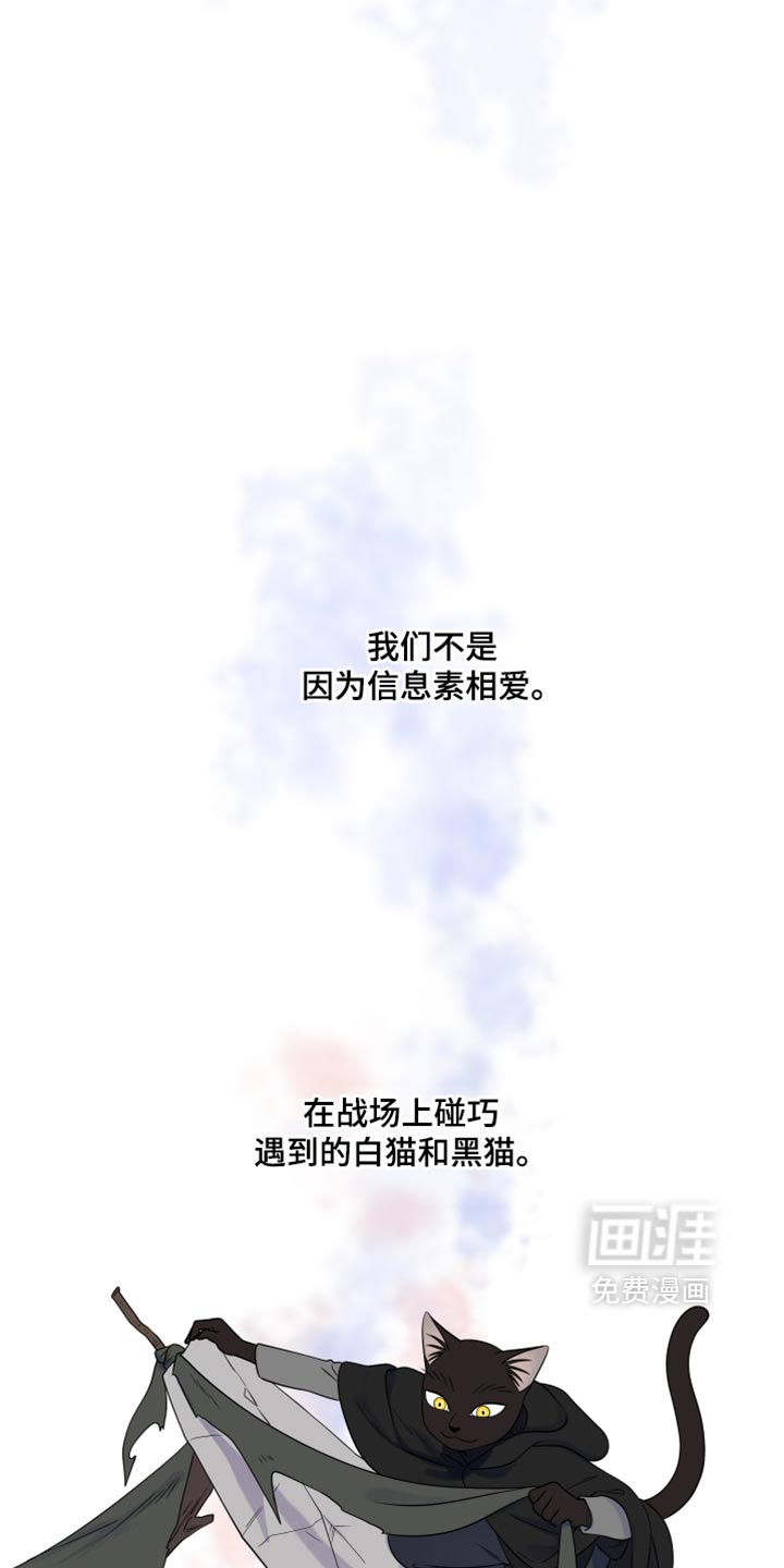 第215话15