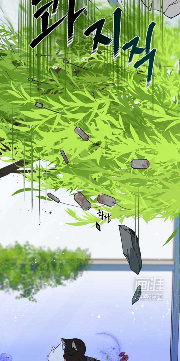 第215话22