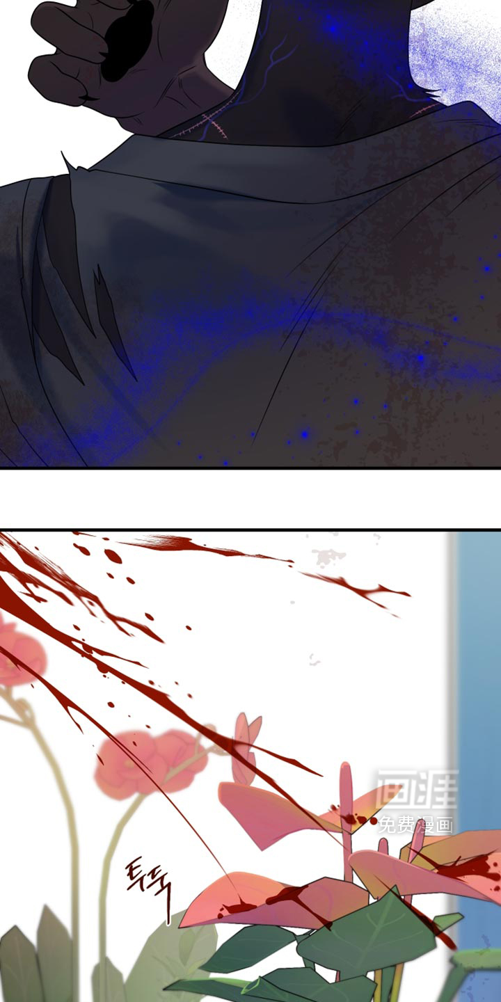 第215话27