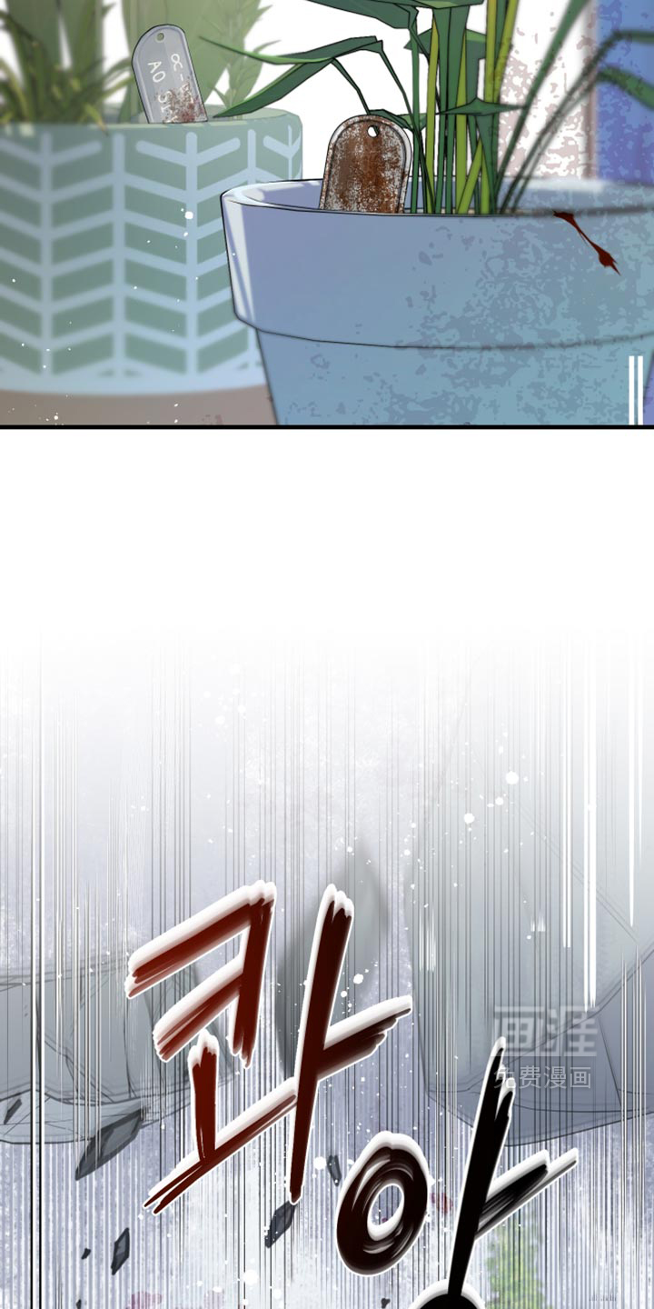 第215话28
