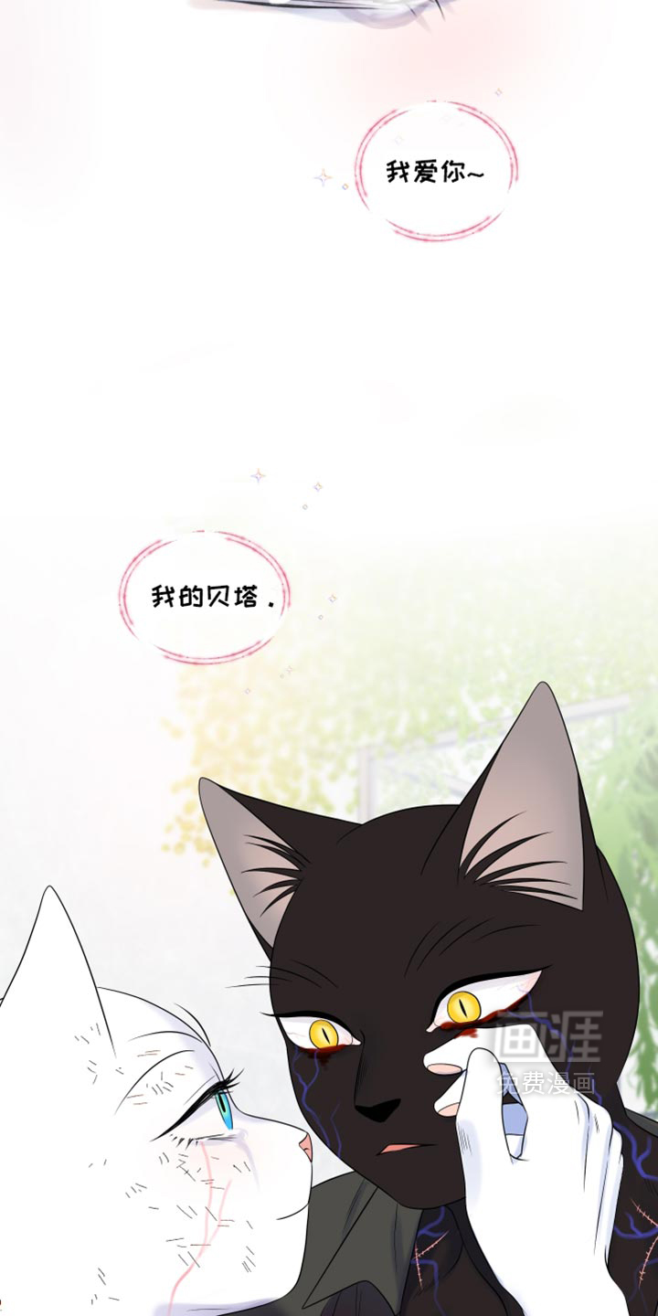 第215话8