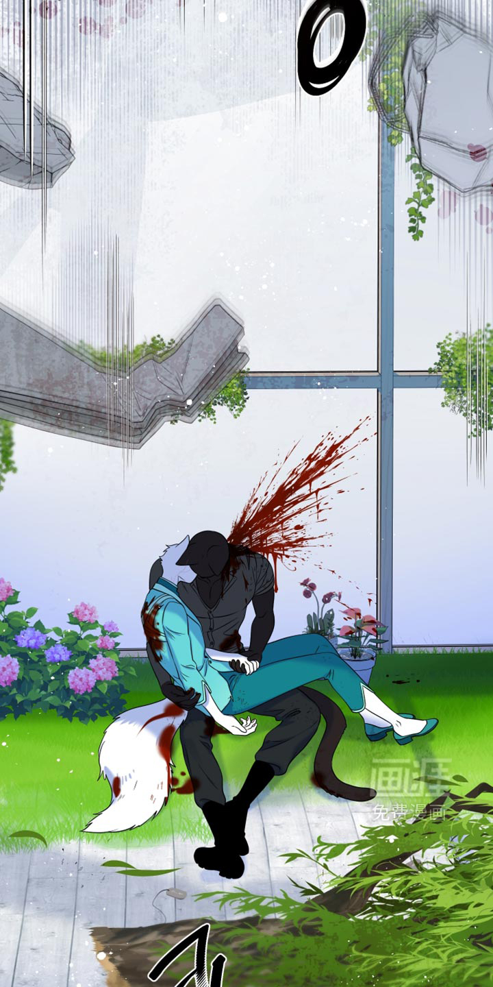 第215话29