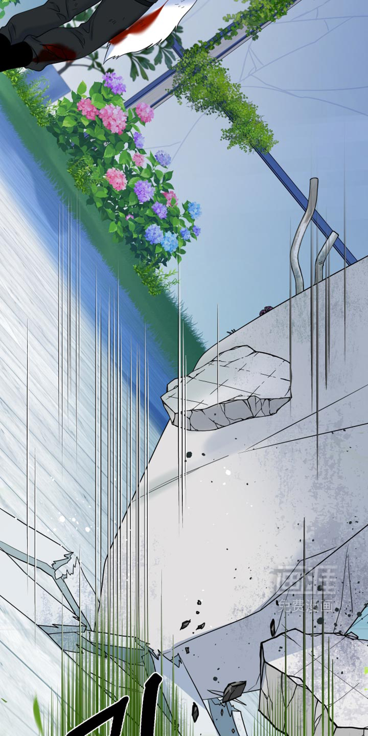 第215话21