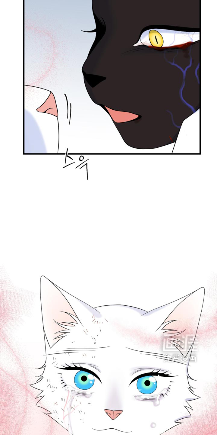 第215话6