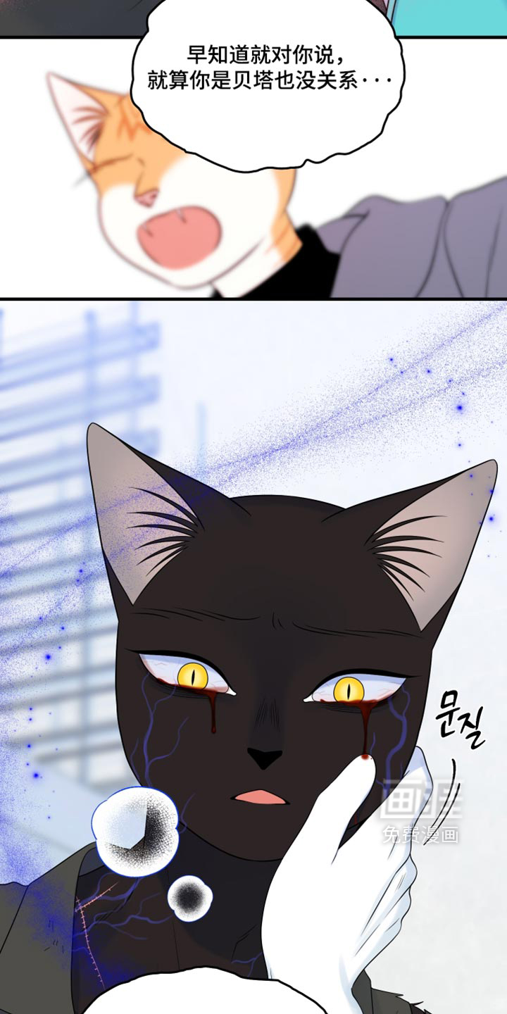 第215话1