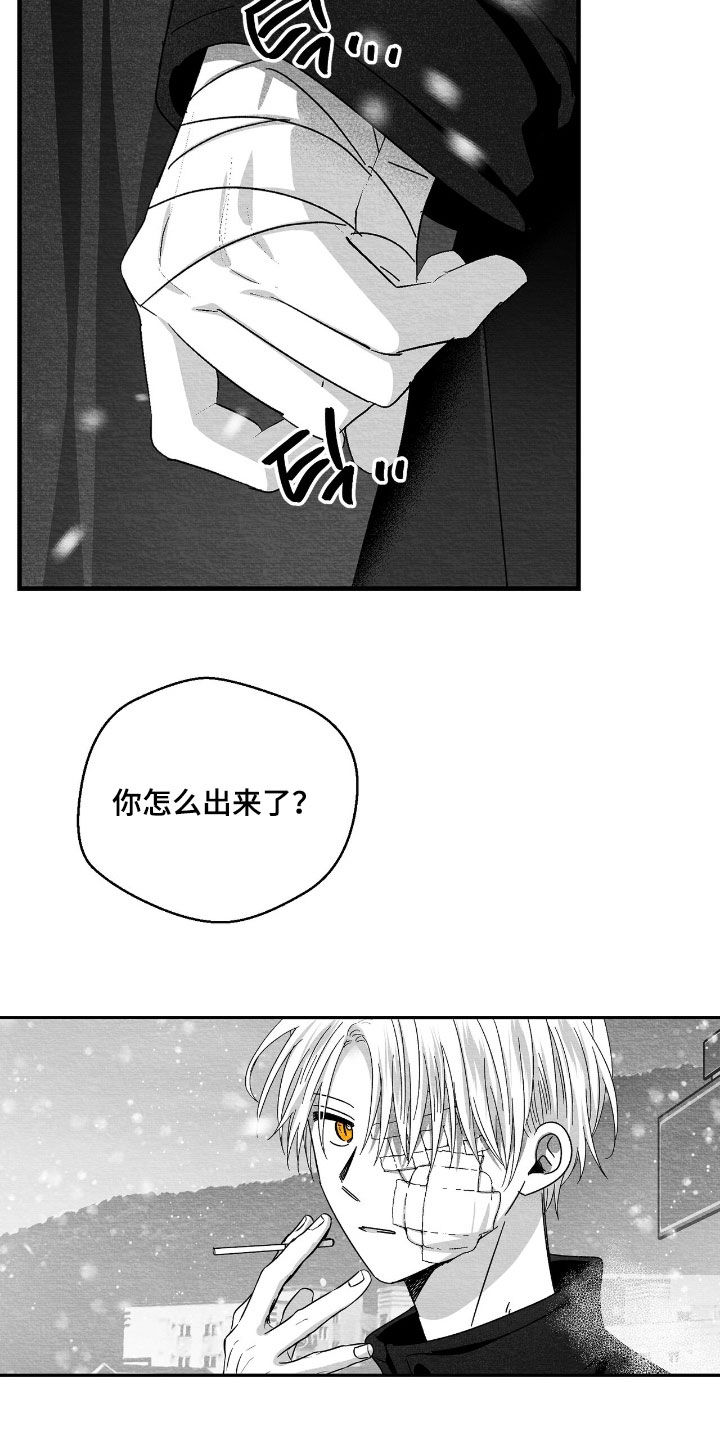 第180话13