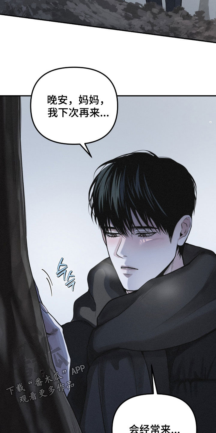 第117话24