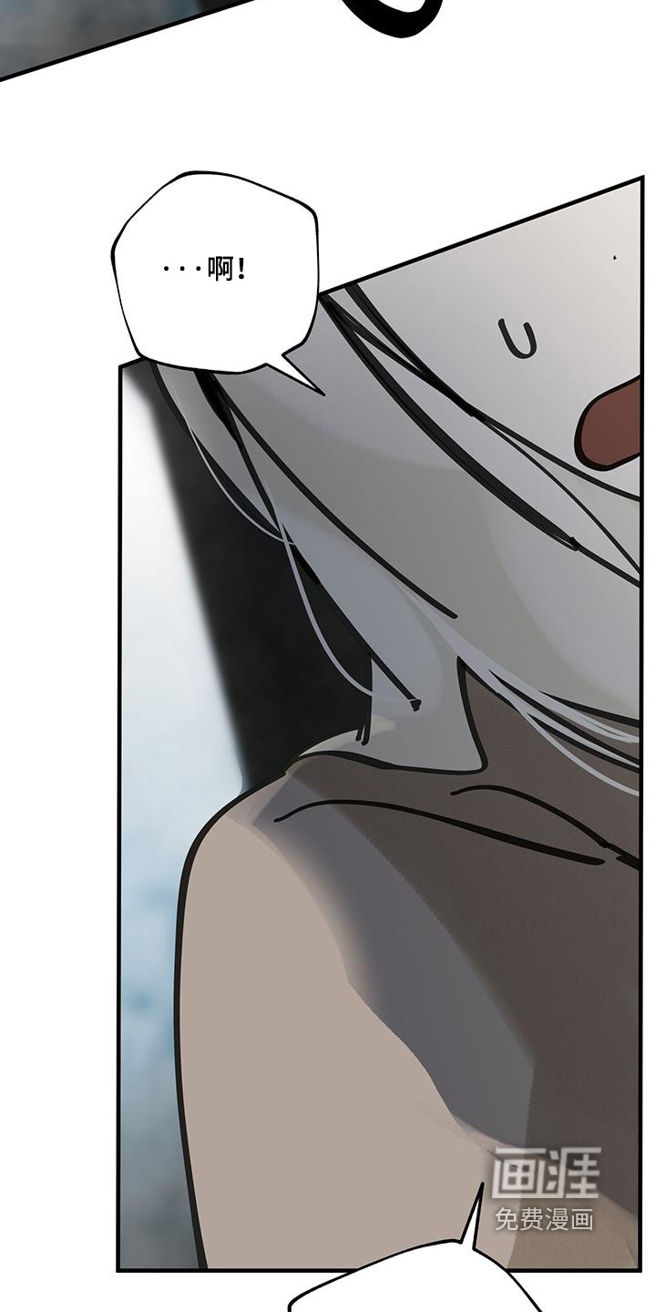 第163话4
