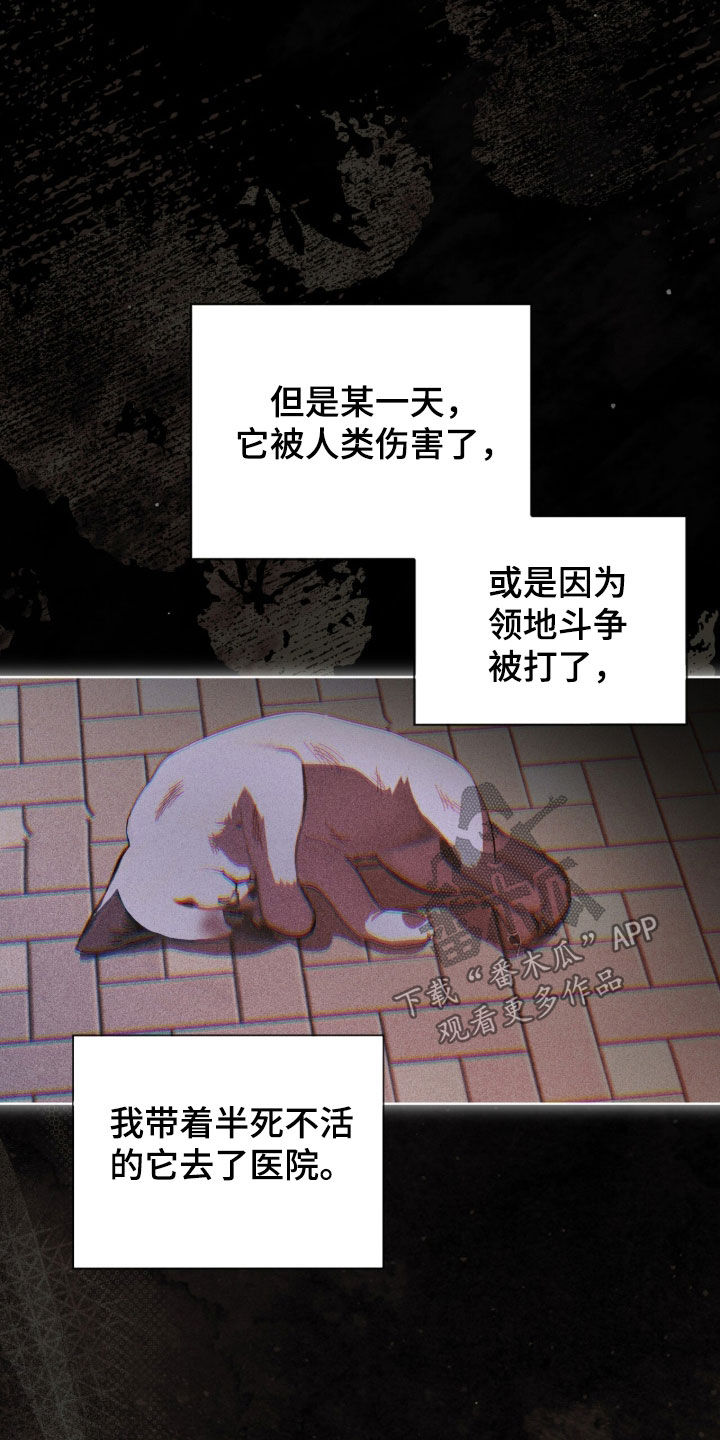 第108话2