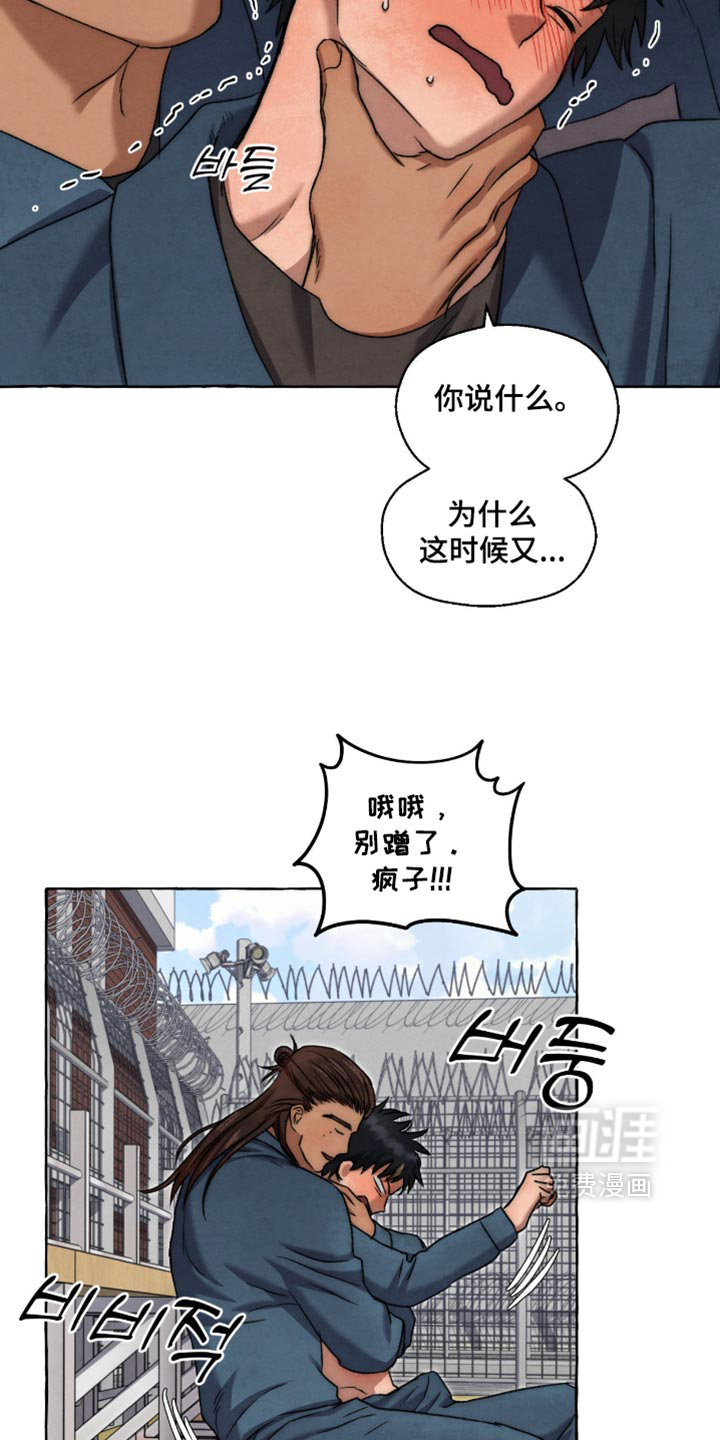 第146话14
