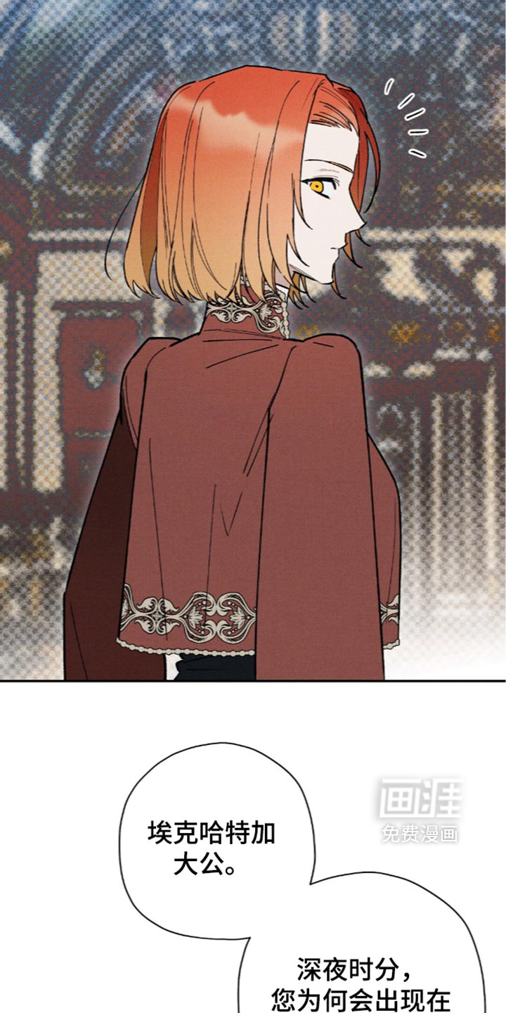 第226话33