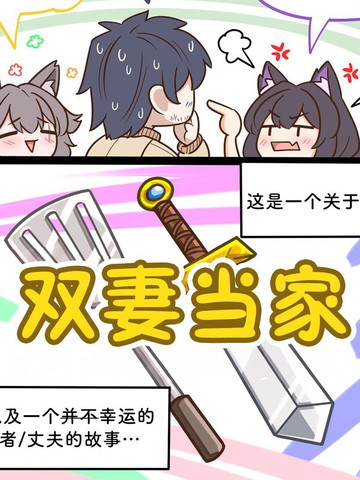 双妻当家