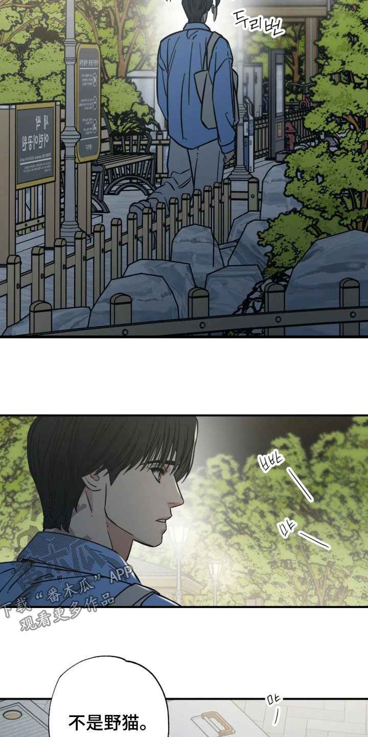 第48话12