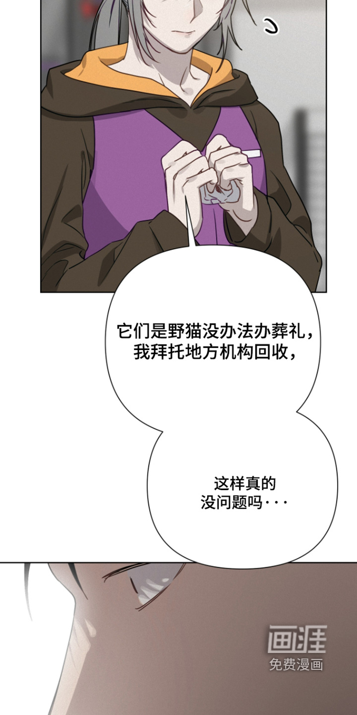 第39话3