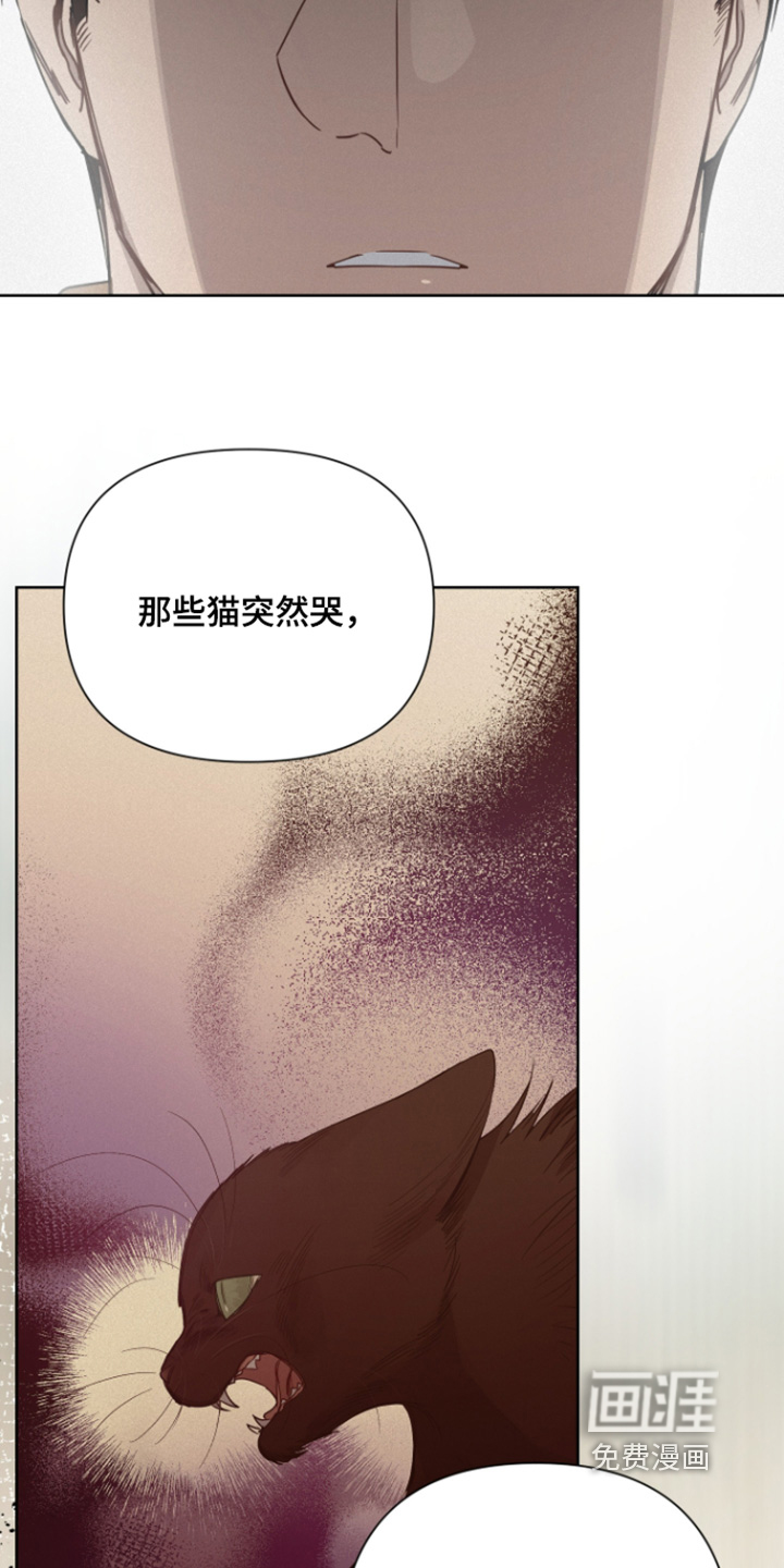 第39话13