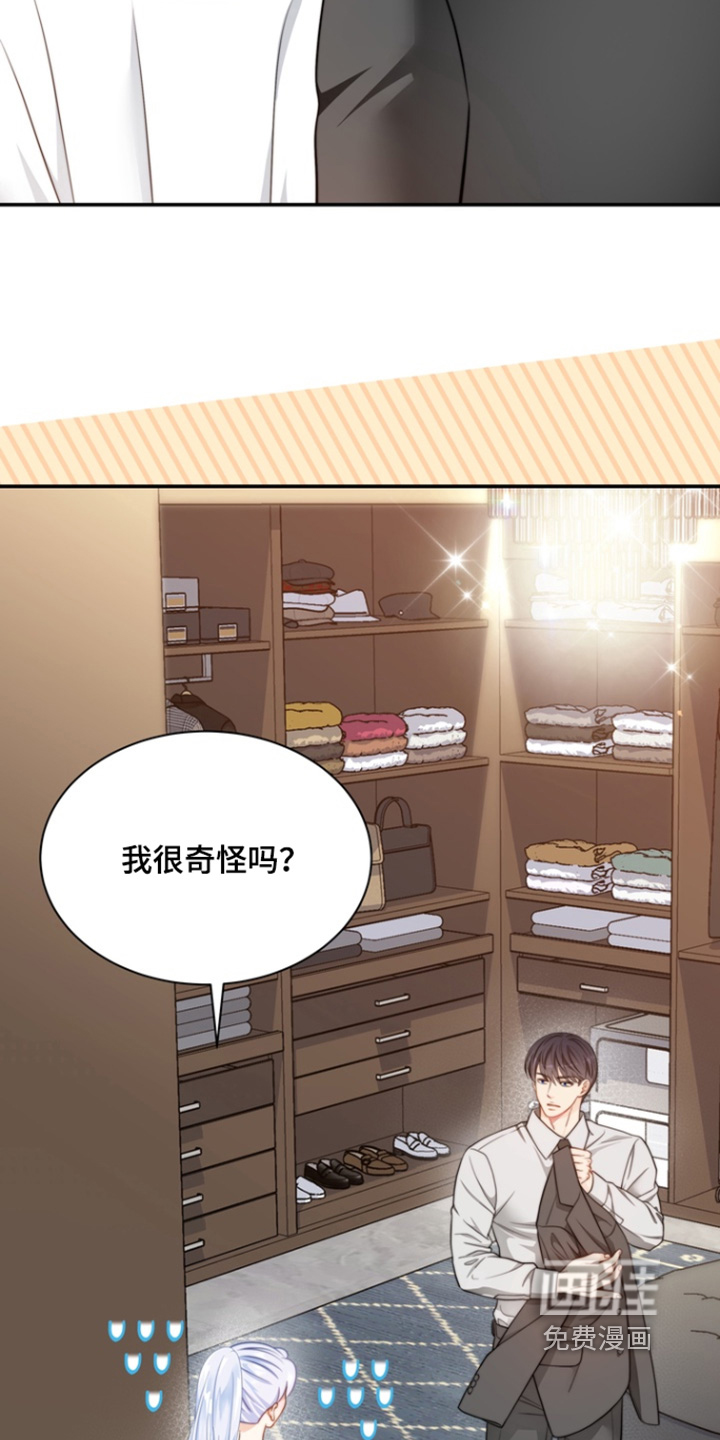 第204话2