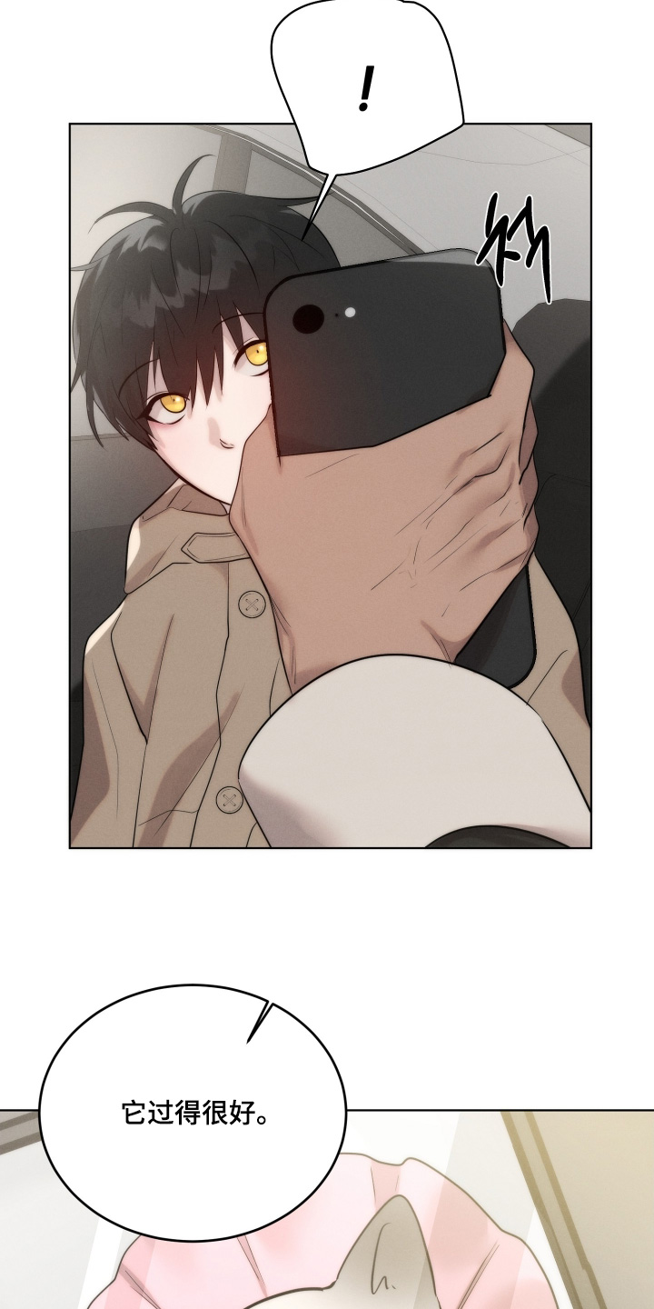 第132话12