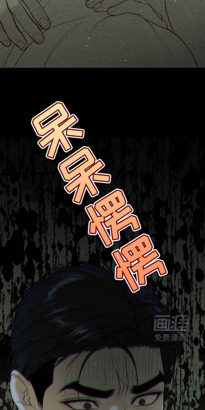 第339话11