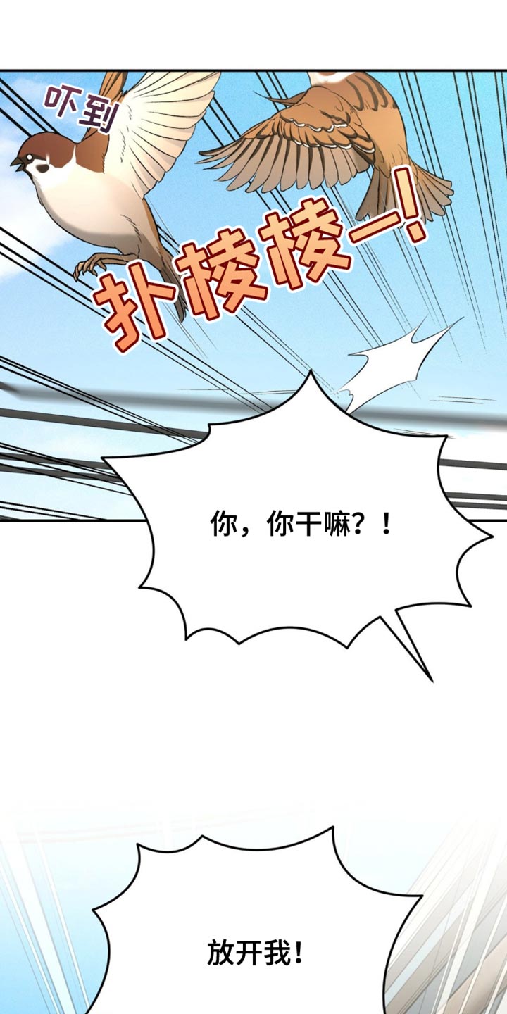 第247话1
