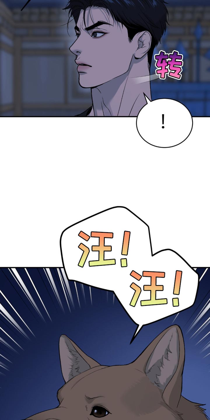 第242话1