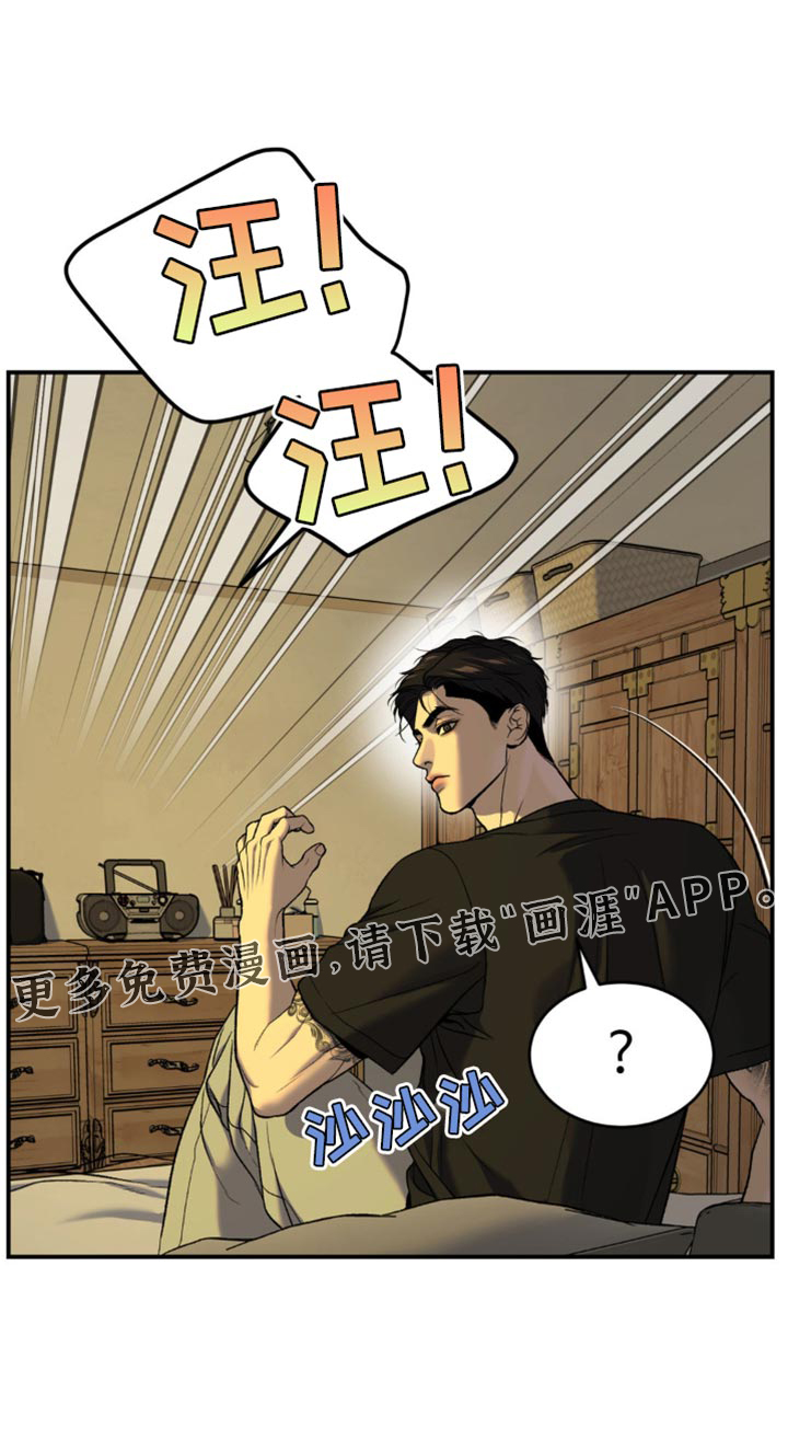 第241话19