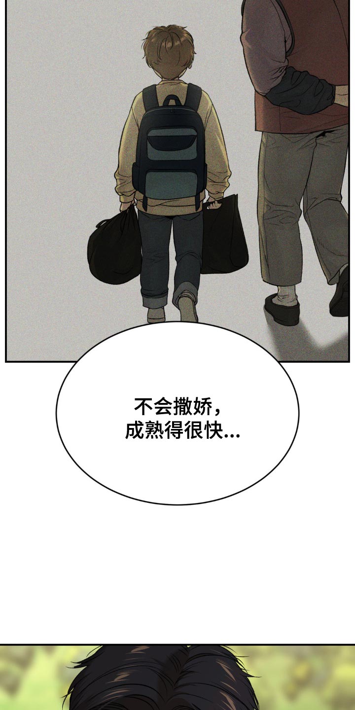第240话16