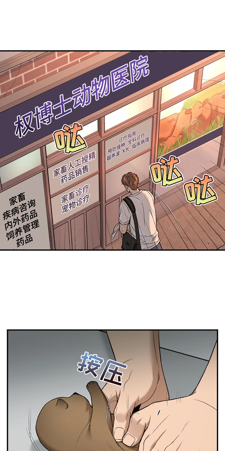 第222话8