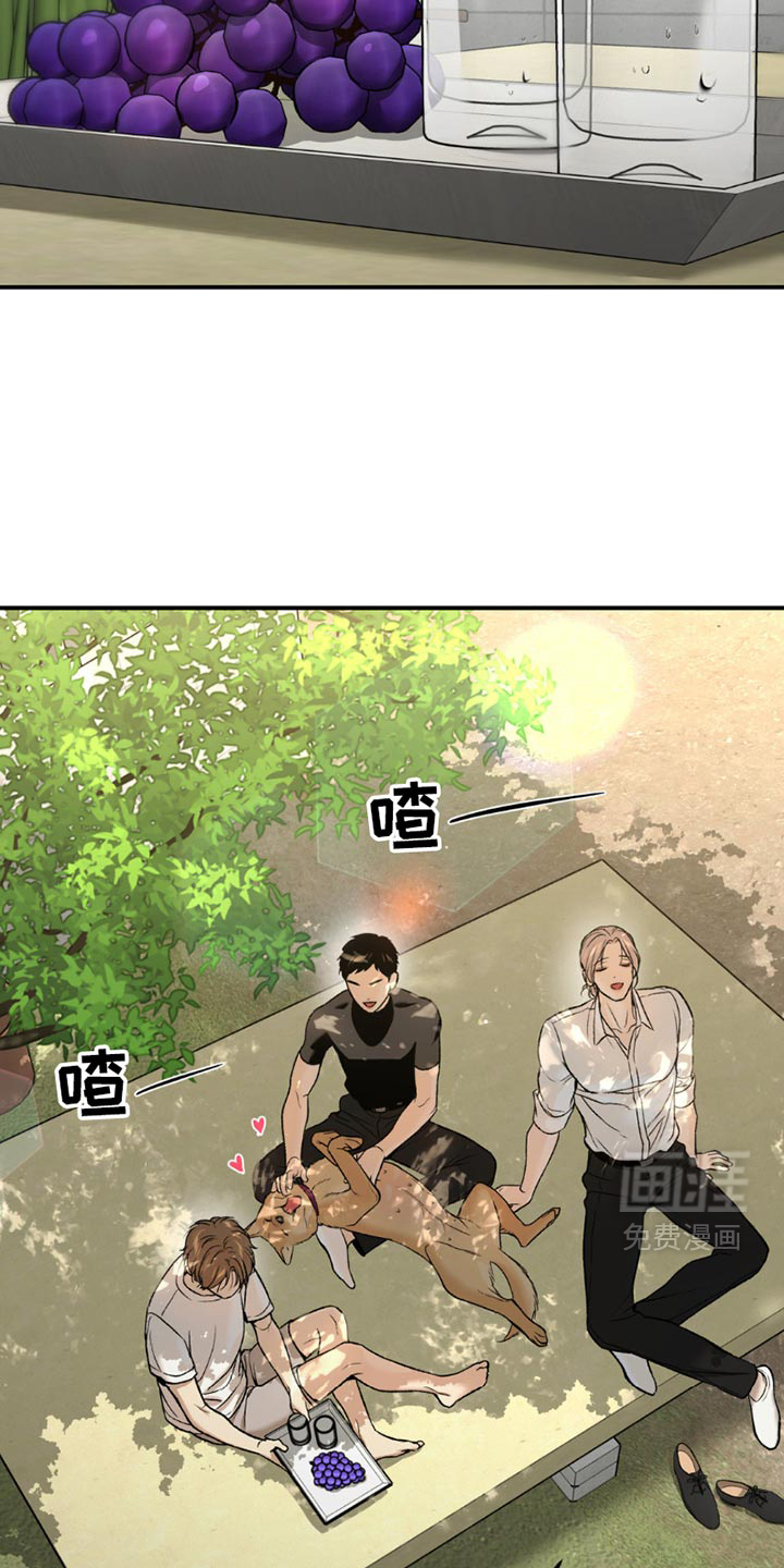 第217话14