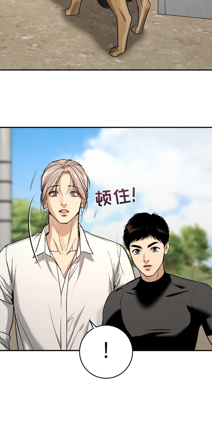 第215话24