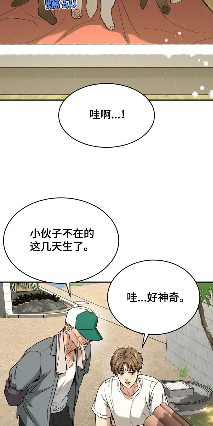 第215话13