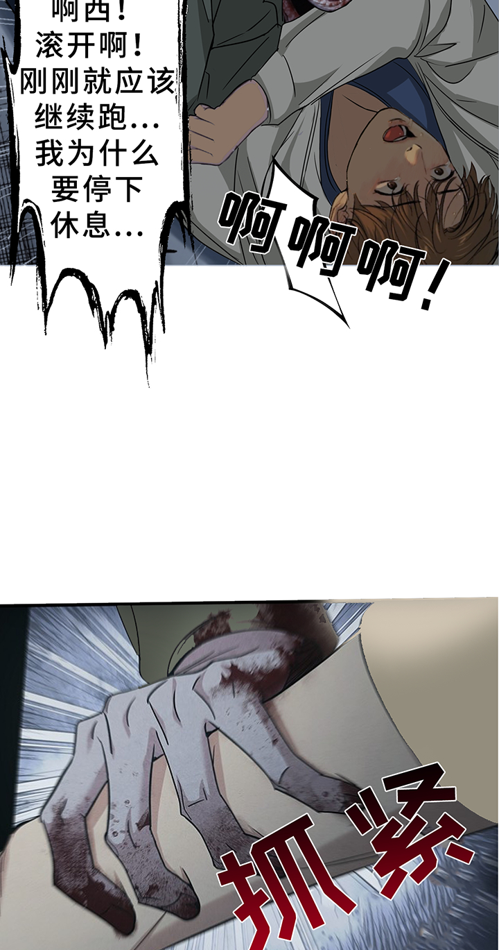 第195话3