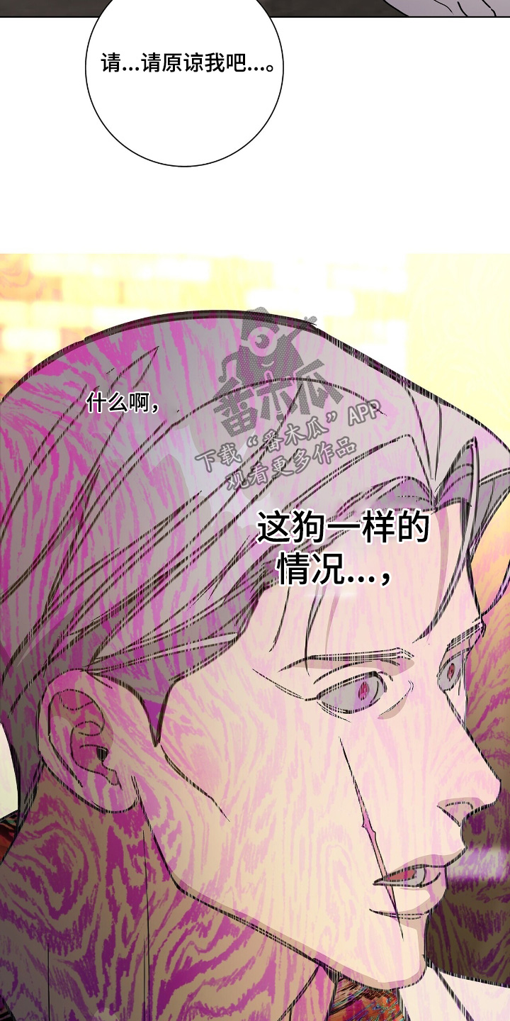 第116话10