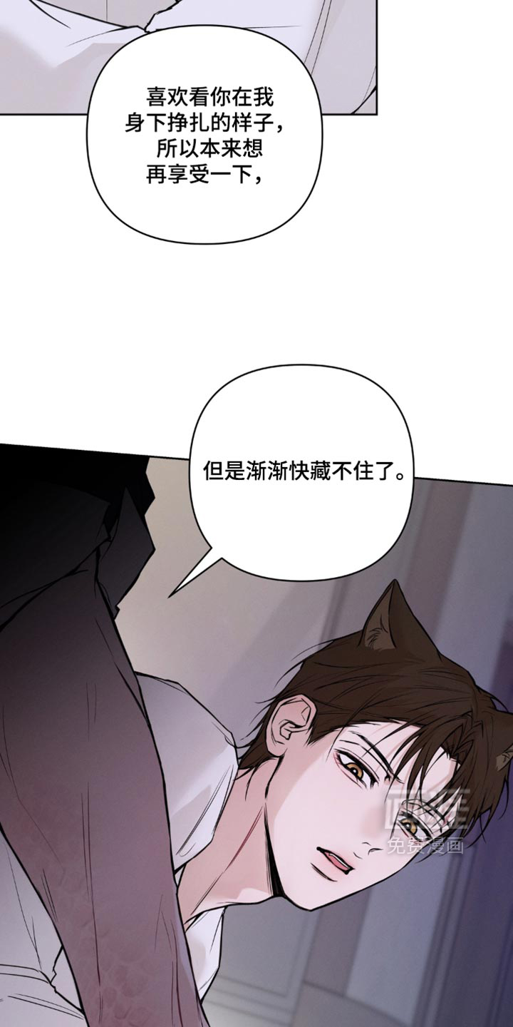 第29话17