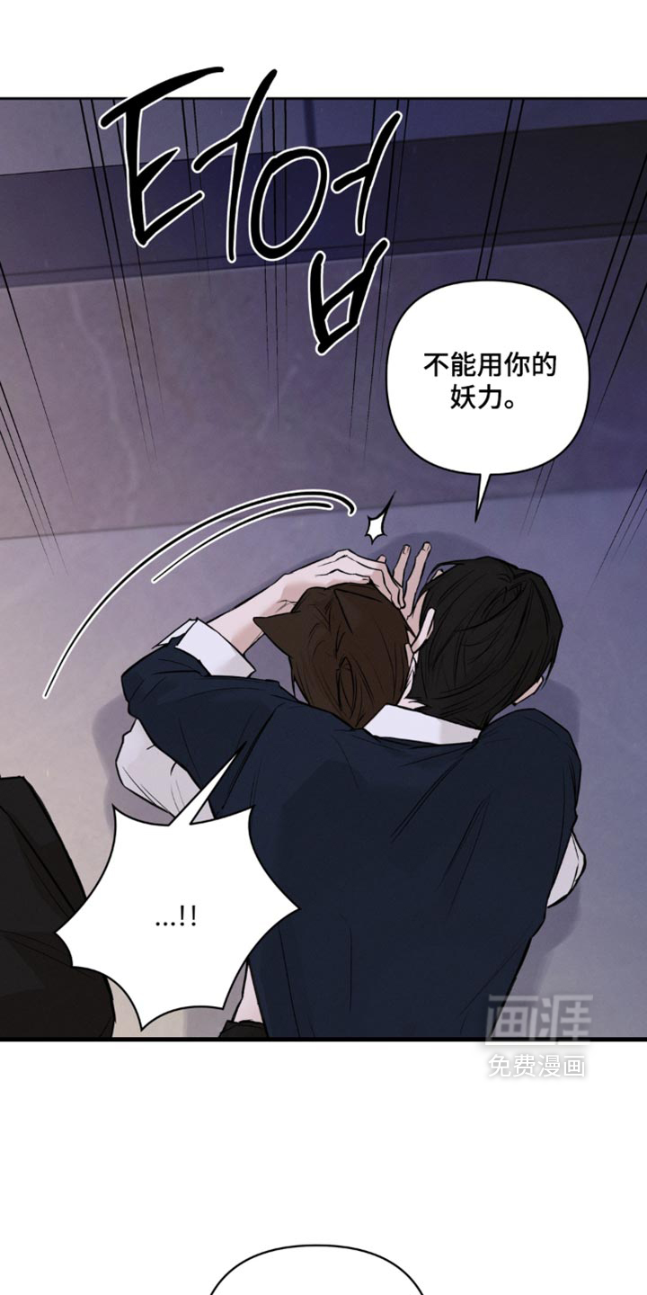 第29话19