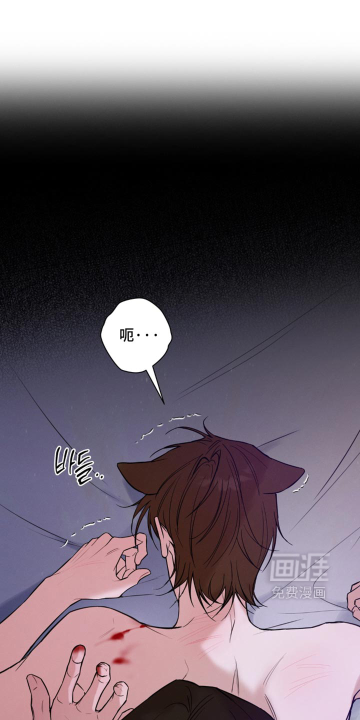 第23话23