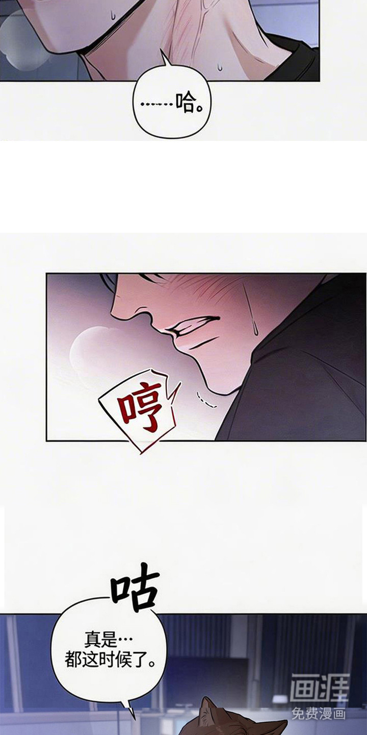 第11话2