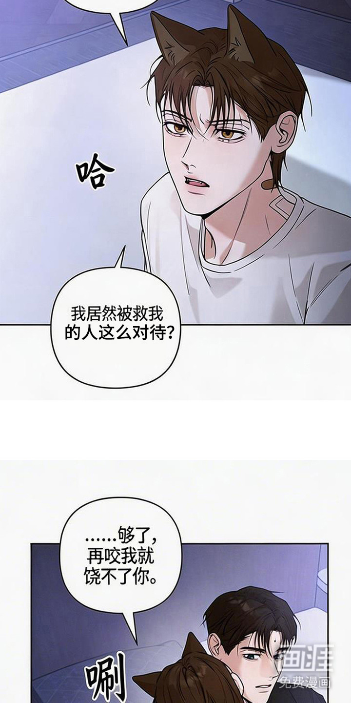 第11话13