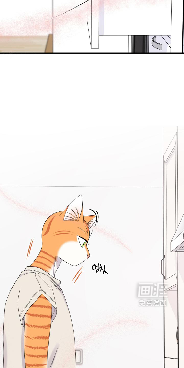 第220话15
