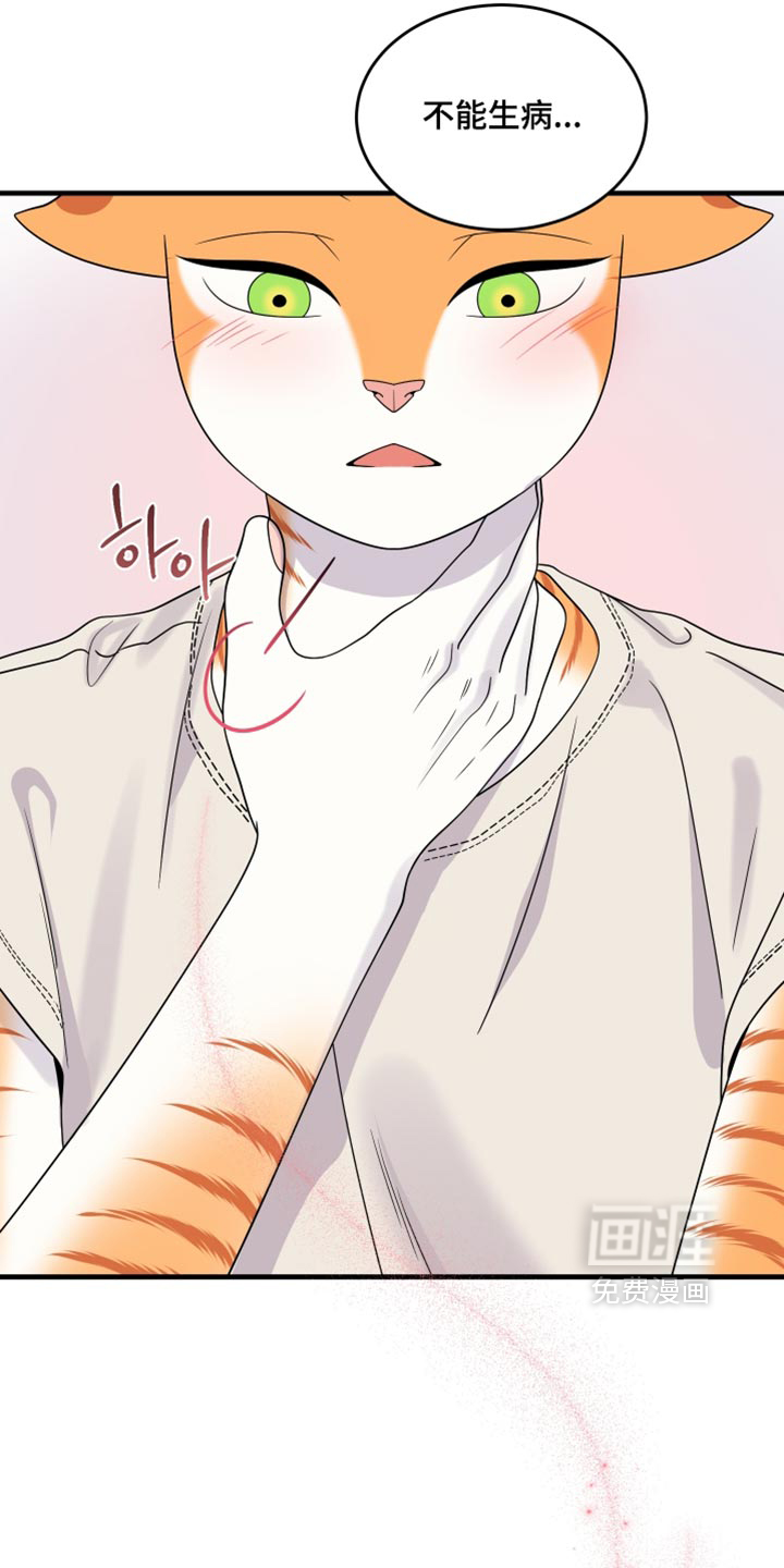 第220话11