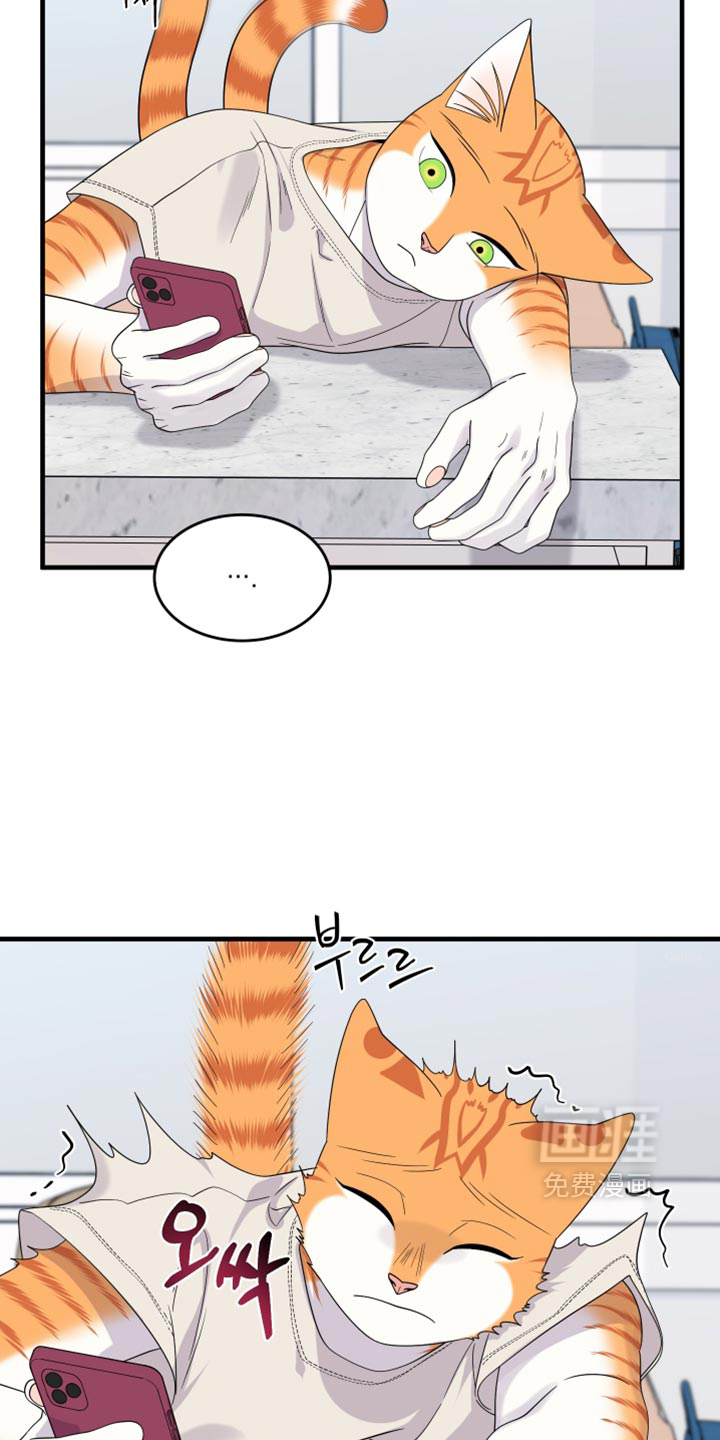 第220话9
