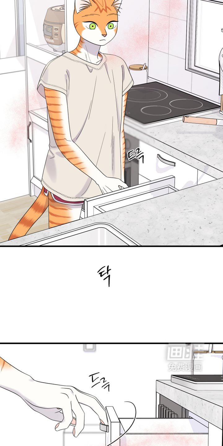 第220话14