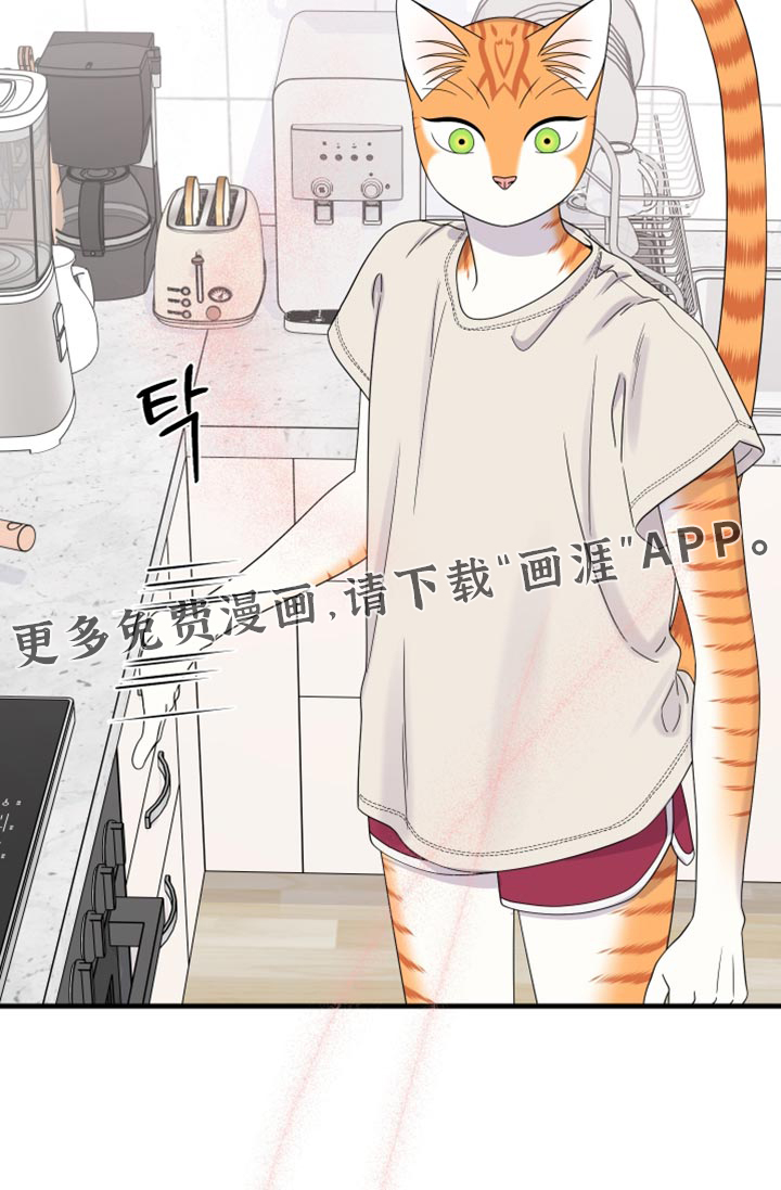 第220话19