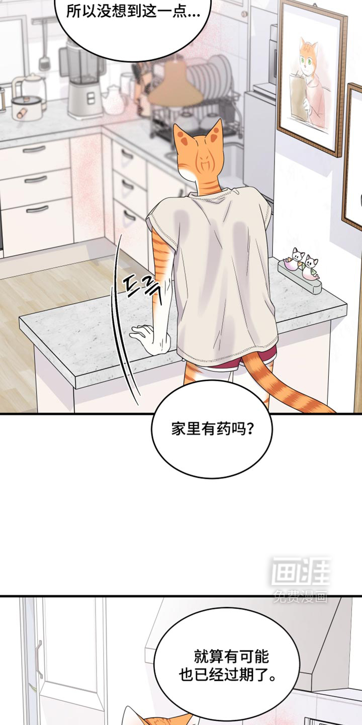 第220话13