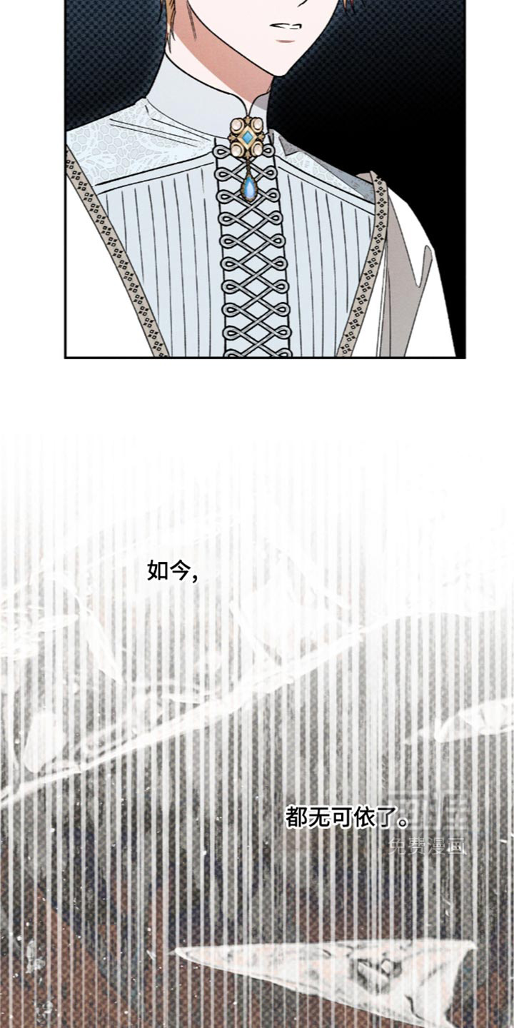 第228话17