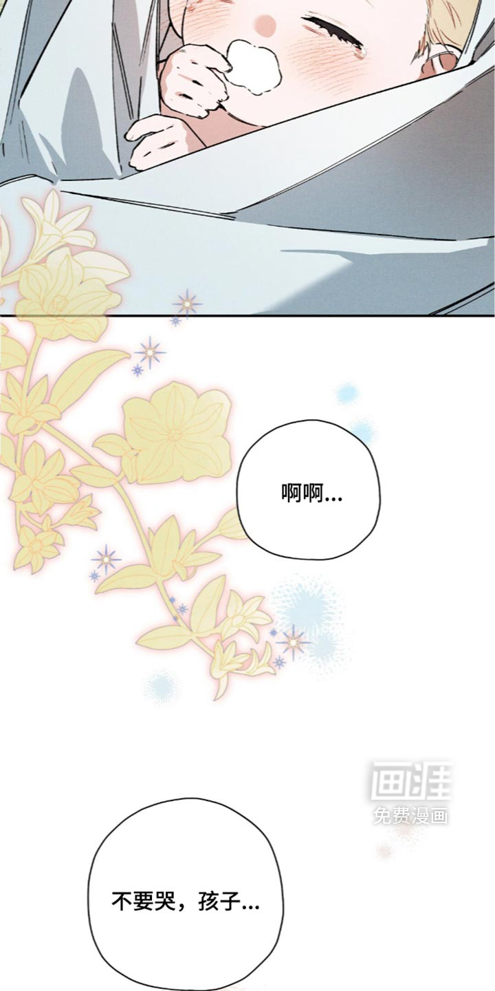 第228话8