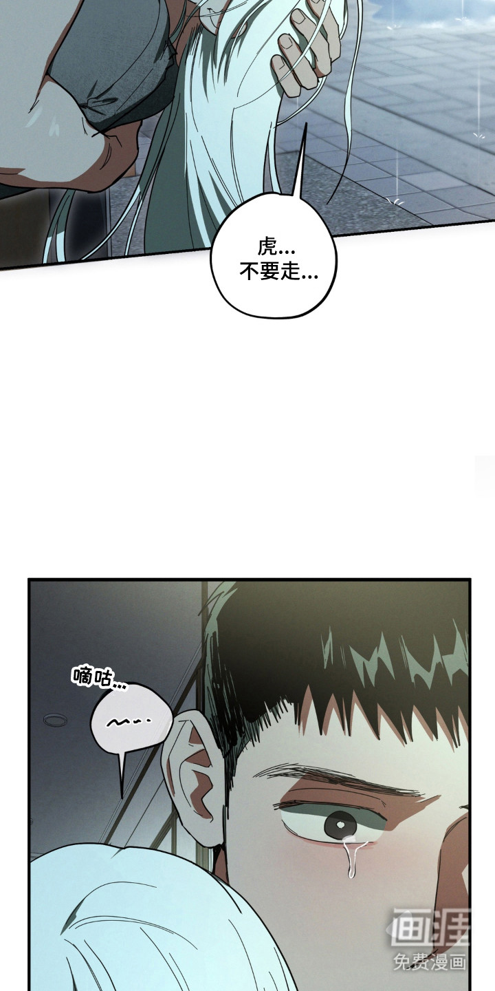 第54话31